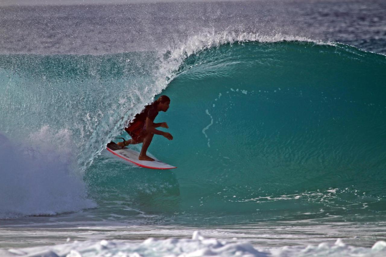 Auberge de jeunesse Surfcamp Arara à Praia de Pipa Extérieur photo